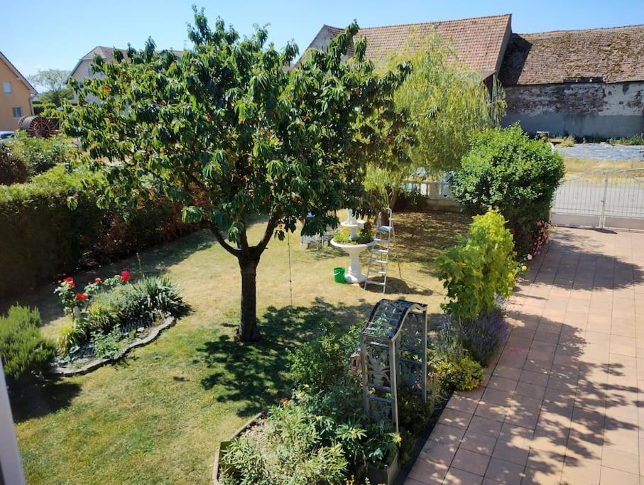 Gite Alsace Appenwihr Ngoại thất bức ảnh
