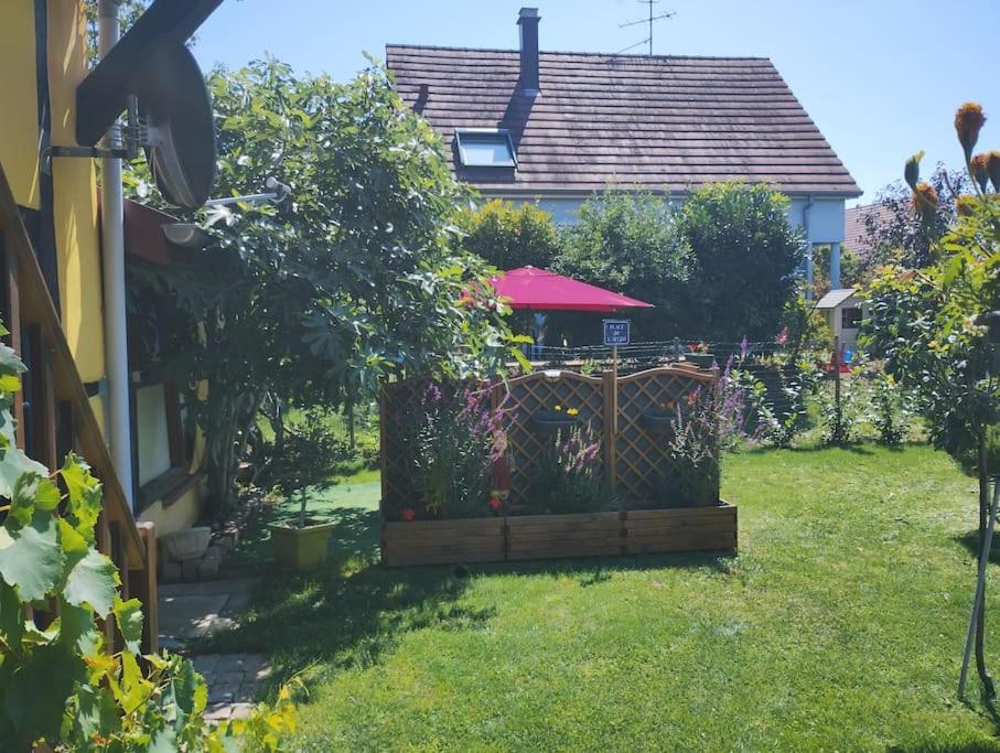 Gite Alsace Appenwihr Ngoại thất bức ảnh